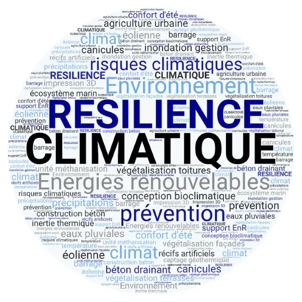 Nuage de mots clés du Cementlab