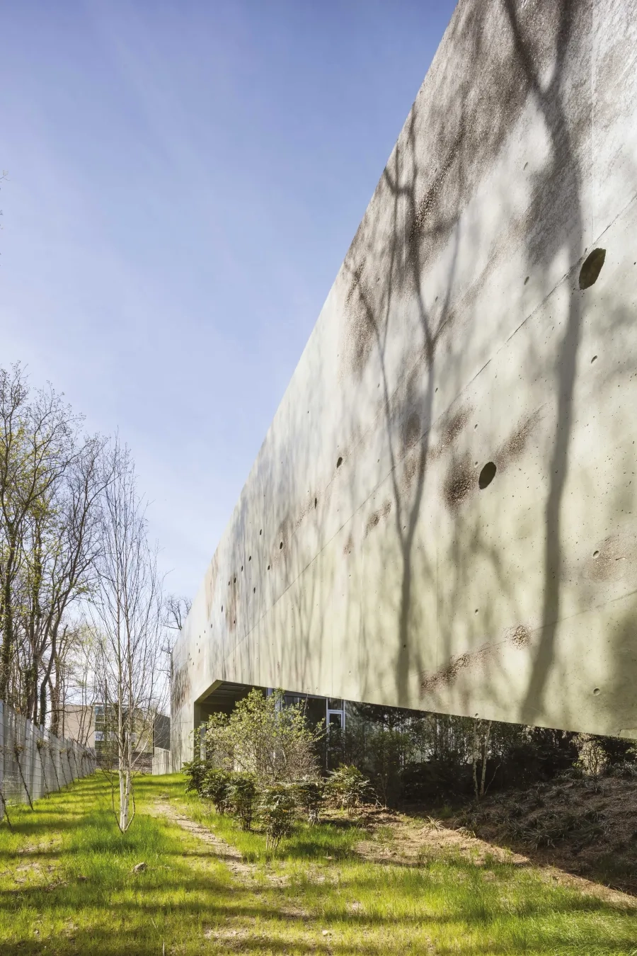 La peau de béton, par sa teinte, ses rugosités et ses anfractuosités, est en parfaite harmonie avec le végétal.   