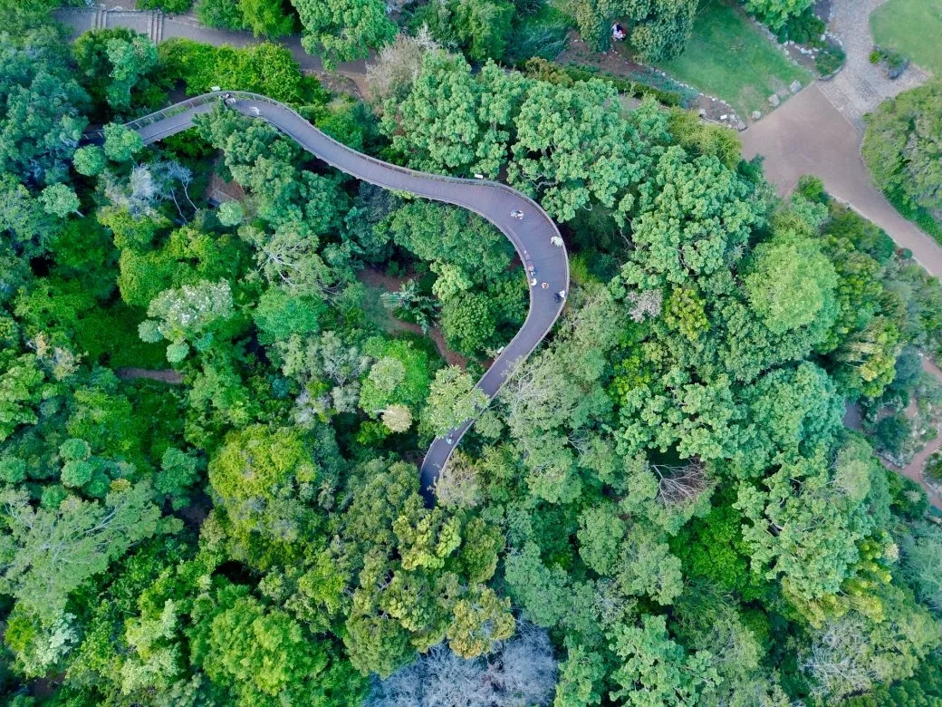 Kirstenbosch Botanical Gardens, Cape Town, South Africa by Photo by Buster Ferraz